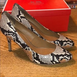 Coach Pumps. Nala Graphic Snake. Size 10.